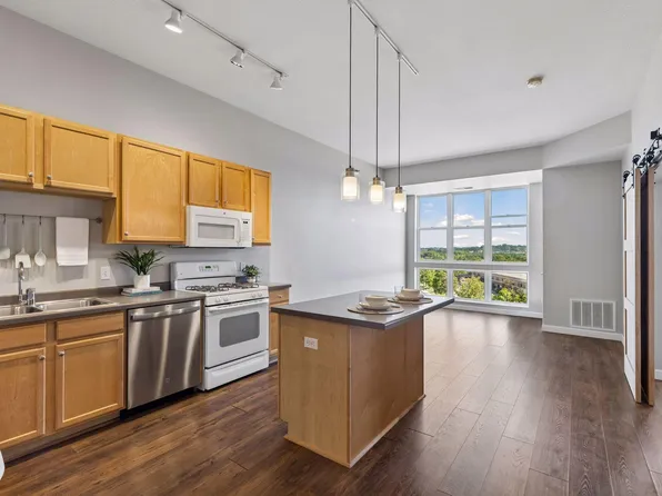 2650 University Ave W APT 523, Saint Paul, MN 55114