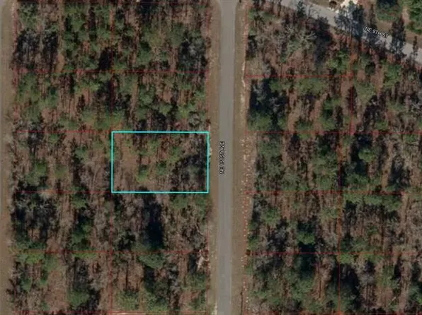 LOT 3 NE 151st Ave #3, Williston, FL 32696