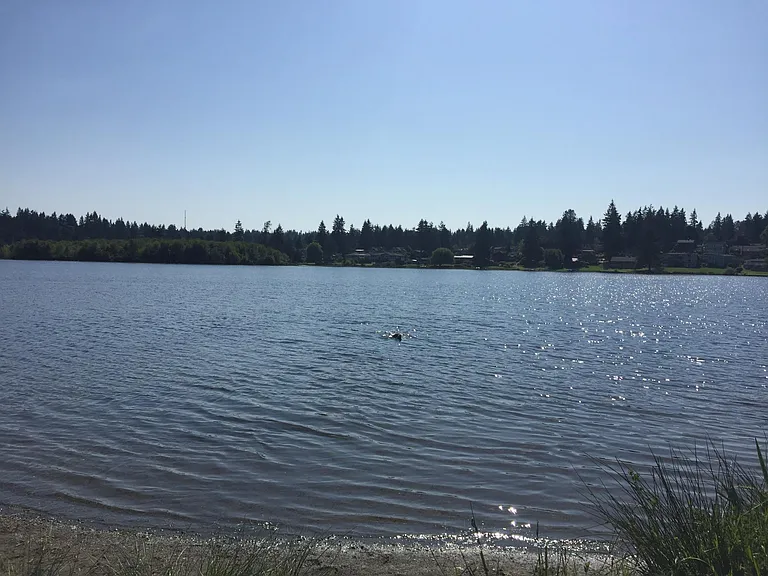 lake ballinger across the street