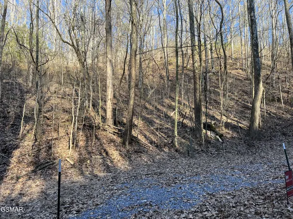 1 Indian Gap Rd Lot 1, Sevierville, TN 37876