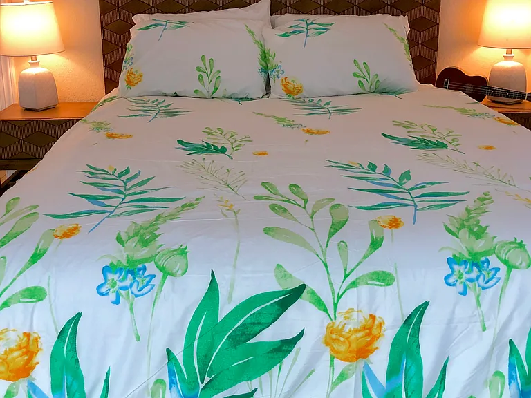 Primary Bedroom with Queen Bed and access directly to the backyard and pool.