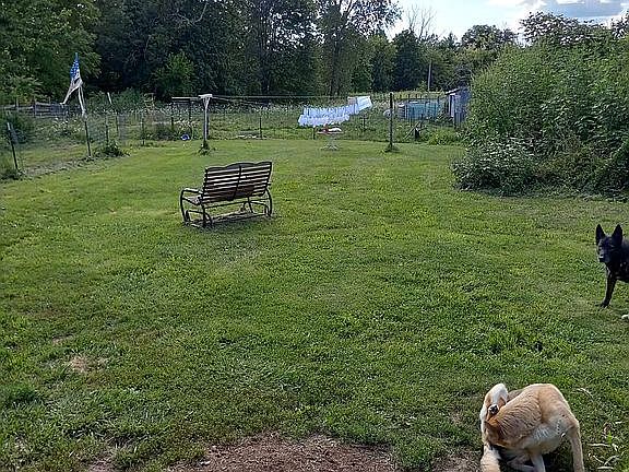 Back Yard off enclosed porch
