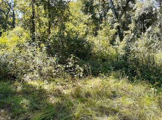 11910 SW 36th Way, Webster, FL 33597