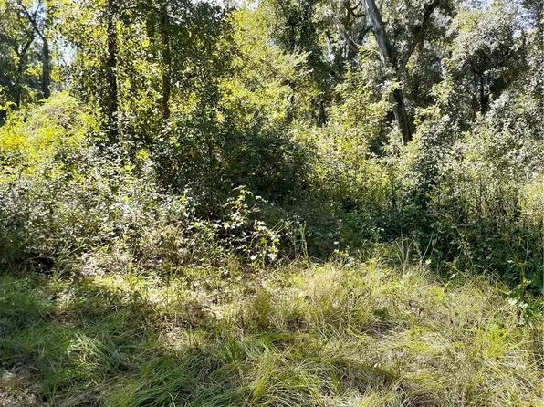11910 SW 36th Way, Webster, FL 33597