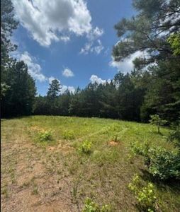 LOT N4 Old Edgefield Rd, Ninety Six, SC, 29666