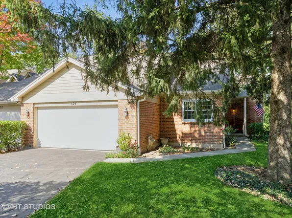 524 Shagbark Dr, Elgin, IL 60123