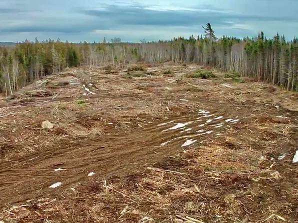 L1 Lively Brook Acres, Whiting, ME 04691