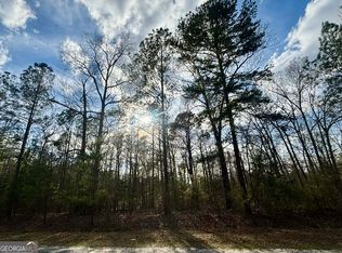 676 Tayler Paige Dr, Box Springs, GA 31801