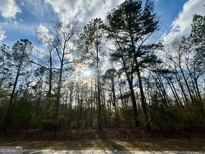 676 Tayler Paige Dr, Box Springs, GA, 31801