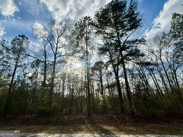 676 Tayler Paige Dr, Box Springs, GA 31801