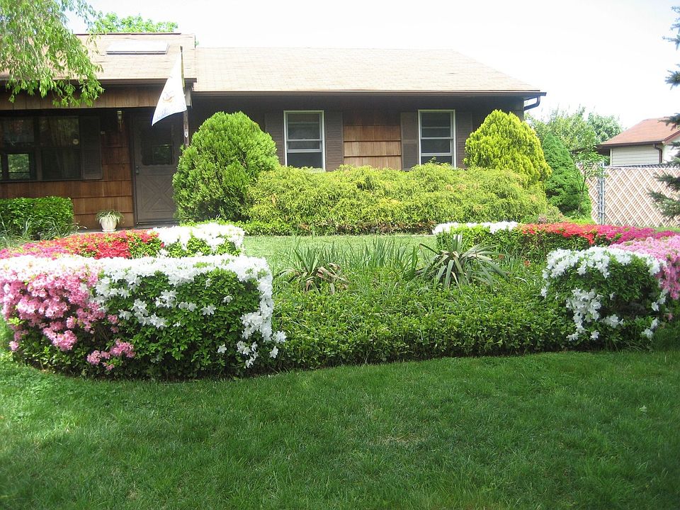 front bushes in spring
