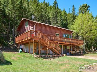 423 Beaver Creek Dr, Nederland, CO 80466