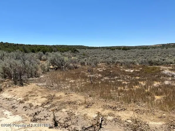 Xx Nm 173, Navajo Dam, NM 87419