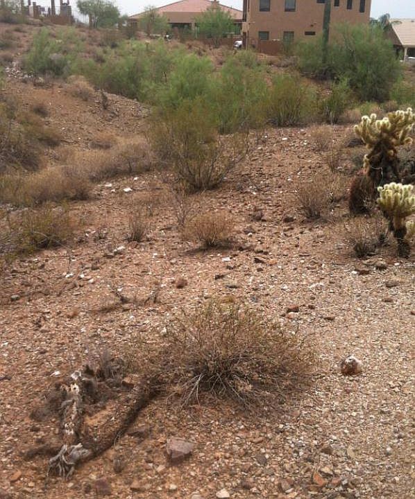2nd image of 475 E Quartz Rock Rd