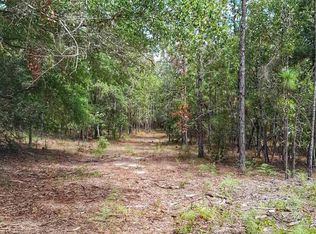 PARCEL Two Wildlife Rd #B, Holt, FL 32564