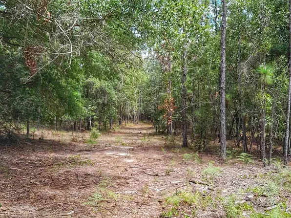 PARCEL Two Wildlife Rd #B, Holt, FL 32564