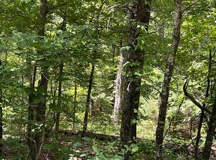 0 Private Road Off, Mammoth Spring, AR 72554