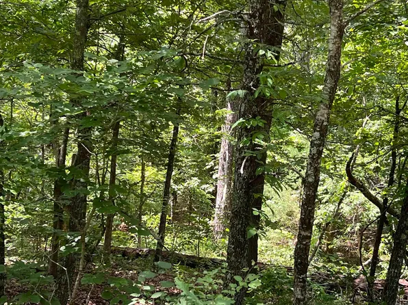 0 Private Road Off, Mammoth Spring, AR 72554