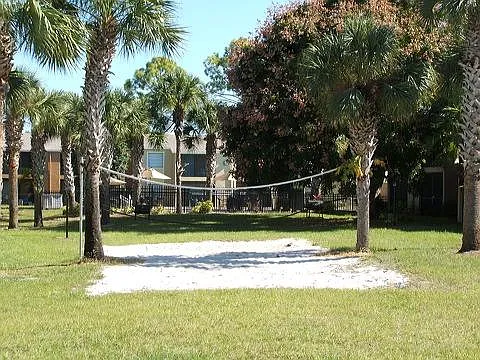 Volleyball