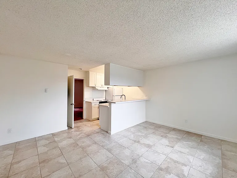 Living Room / Dining Area / Kitchen