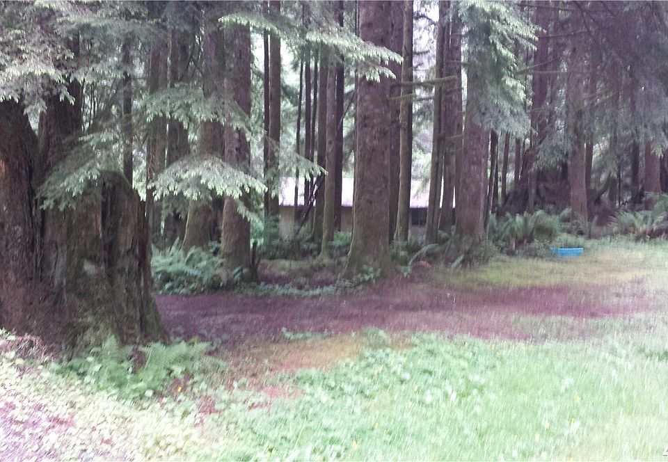 1st image of 17129 9th Pl NE