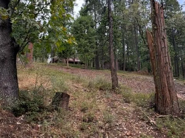 1474 Moran Rd, Arnold, CA 95223