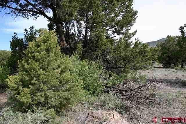 1st image of 317 Elk Ridge Trl