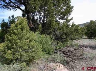 317 Elk Ridge Trl, South Fork, CO 81154