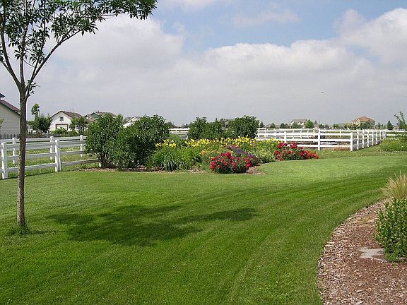 Backyard looking West