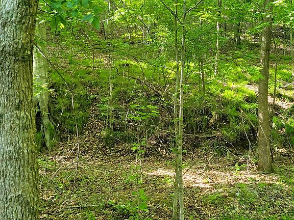 5th image of 77 Carroll Hollow Rd