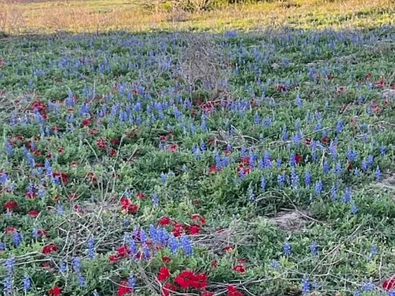 4th image of 265 Boulton Creek Rd