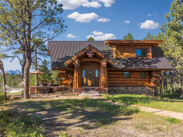 1776 Peninsula Dr, Placerville, CO 81430