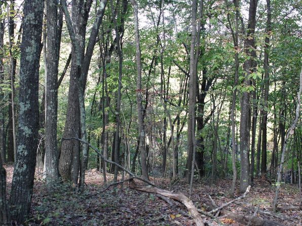 1430 Sand Bank Rd, Masontown, WV 26542