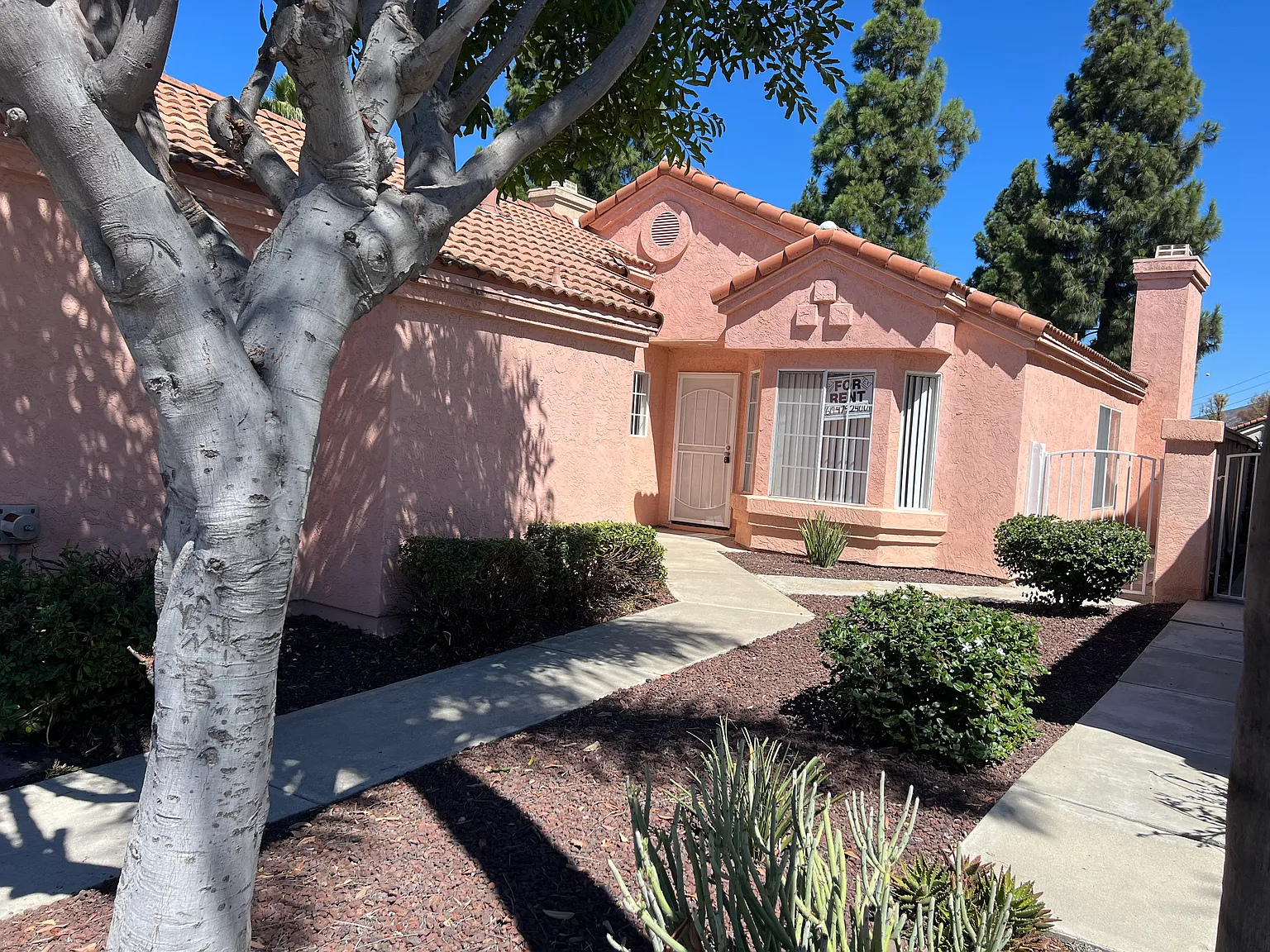 3 bed, 1189 sqft, $3,900 — Photo 1