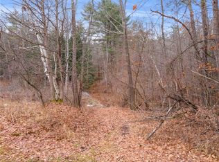258 Engle Rd Lot 18, Schoharie, NY 12157