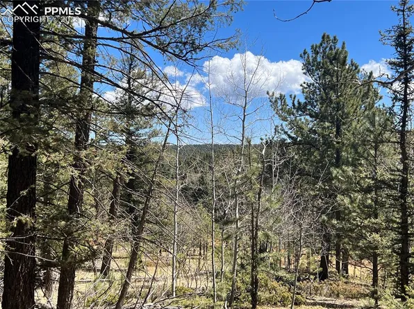 167 Lake Dr W, Divide, CO 80814
