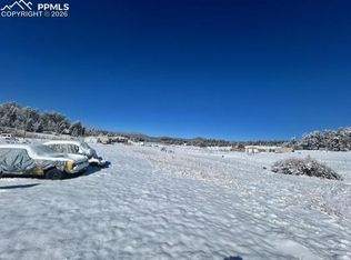 84 Wrangler Dr, Lake George, CO 80827