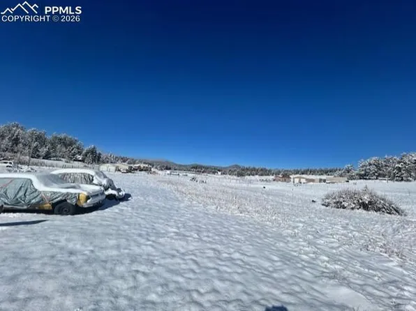 84 Wrangler Dr, Lake George, CO 80827