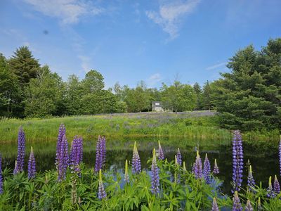 171 Pollard Road, Grafton, VT, 05146