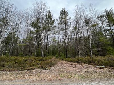 363 & 364 Whitesand Dr, Presque Isle, MI, 49777