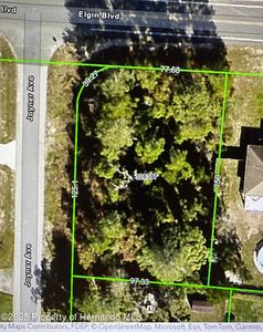 5438 Joyner Ave, Spring Hill, FL, 34608