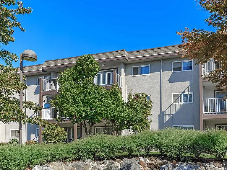 Arbor Heights — Photo 3