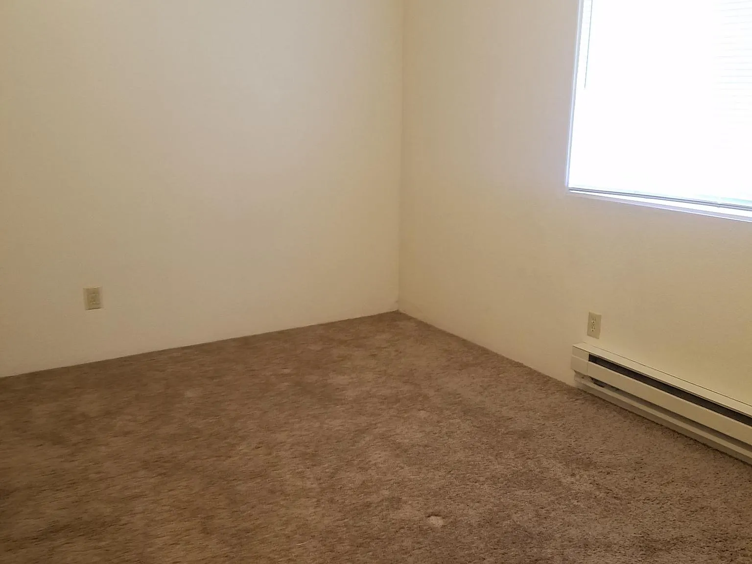 2 bed, 750 sqft, $1,200 — Photo 2