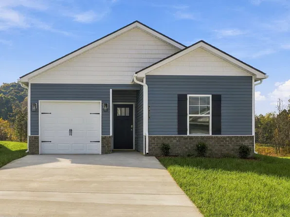 317 Chimney View Loop, Blountville, TN 37617