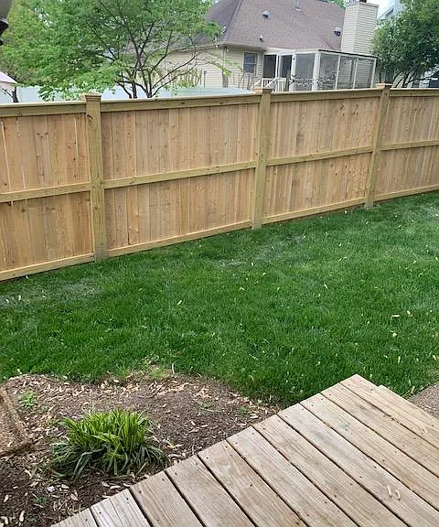 the left side of the back yard from the family room doors