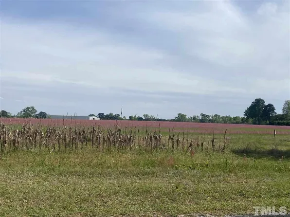 541 Delma Grimes Rd, Coats, NC 27521