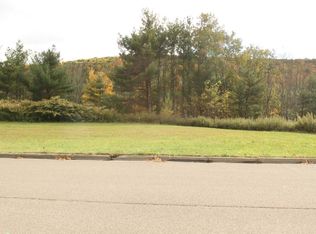 1233 Domenica Dr, Endicott, NY 13760