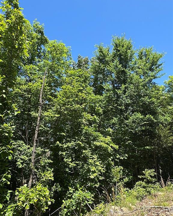 2nd image of 23 Vista Ridge Trail