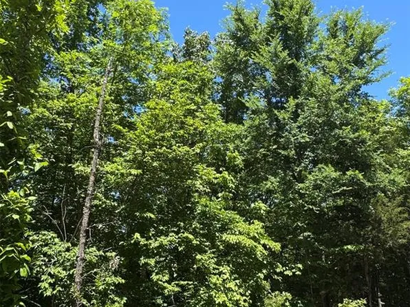 27 Mountain Bluff Trail, Watson, OK 74957