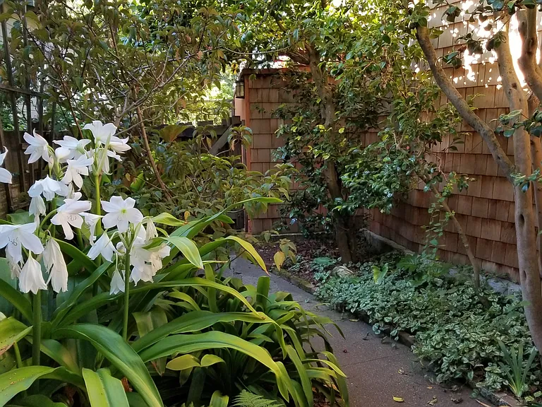 Garden Path to Apartment